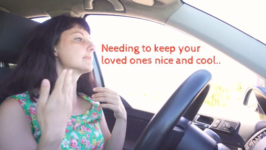 A/C Video Image